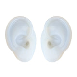 Ear Model Resin Casting Mold Silicone Earmold Display Mould