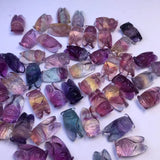 Natural Rainbow Fluorite Cicada Pendant Crystal Carved Animal Jewelry Gift