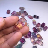 Natural Rainbow Fluorite Cicada Pendant Crystal Carved Animal Jewelry Gift