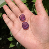 Fengbaowu Amethyst Conch Sea Snail Pendant - Crystal Jewelry Gift
