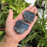 Labradorite Elephant Family Carved Animal Home Decor Crystal Gift