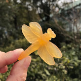 Natural Stone Dragonfly Carved Animal Crystal Craft Home Decoration Ornament