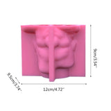 Succulent Flower Pots Silicone Mold DIY Organizer
