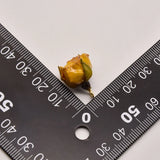 1 Pcs/Lot 19mm*13mm Yellow Rose Real Flower Shape Accessories