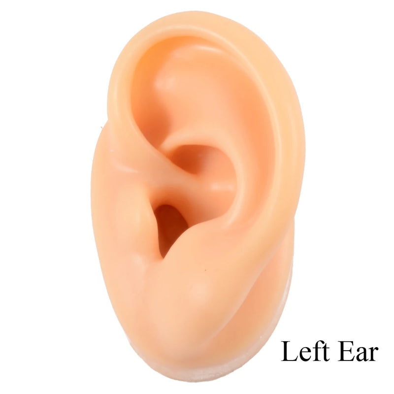 Silicone Ear Model Piercing Practice Tools Display Body Jewelry