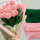 Tulips Pipe Cleaners Crafts Kid Girl Gift