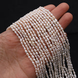 Natural Freshwater Pearl Loose Beads Strand DIY Necklace Bracelets Earrings
