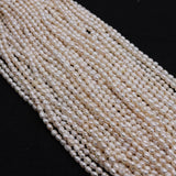 Natural Freshwater Pearl Loose Beads Strand DIY Necklace Bracelets Earrings