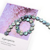 Abalone Beads 6-20mm Disc Shape DIY Bracelet Necklace Earrings
