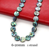 Abalone Beads 6-20mm Disc Shape DIY Bracelet Necklace Earrings