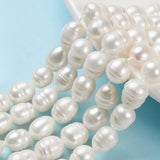 Natural Freshwater Pearl Beads for Jewelry Making 10~11.5x9~10mm