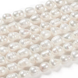 Natural Freshwater Pearl Beads for Jewelry Making 10~11.5x9~10mm