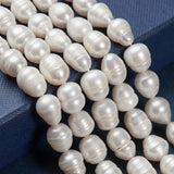 Natural Freshwater Pearl Beads for Jewelry Making 10~11.5x9~10mm