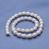 Freshwater Pearl Beads Bracelet Necklace DIY Making