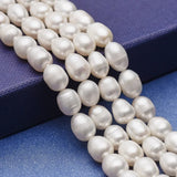 Freshwater Pearl Beads Bracelet Necklace DIY Making