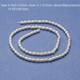 Freshwater Pearl Beads Bracelet Necklace DIY Making