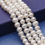 Freshwater Pearl Beads Bracelet Necklace DIY Making