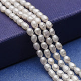 Freshwater Pearl Beads Bracelet Necklace DIY Making