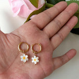 Natural 10mm 6-Leaf Daisy Shell 925 Silver Earrings Gift Wedding Jewelry