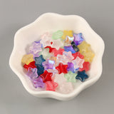 Czech Crystal Bead Glass Star Shape Beads For Jewelry Making