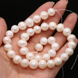 10-11mm Natural Freshwater Pearl Beads Round Shape Loose Spacer Pearl Beads