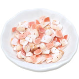 10-19MM Natural Irregular Shell Stone Loose Beads for DIY Necklace Bracelet
