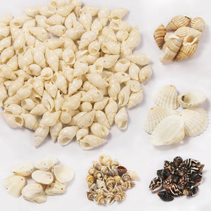 50g Sea Shell Beads for Jewelry Making DIY Necklace Bracelet Accessories