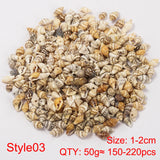 50g Sea Shell Beads for Jewelry Making DIY Necklace Bracelet Accessories