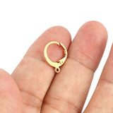 50PCS Stainless Steel Hoop Earrings Findings DIY French Earrings Hook Supplies