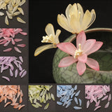 Czech Glass Flower Petal Charms 9x25mm Orchid Pendants for DIY Jewelry