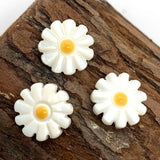 10 Pack Natural Pearl Shell Beads Small Daisy Shaped Loose Bead DIY 6-12