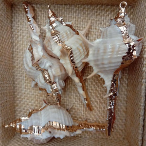 10 Pcs Natural Conch Spiral Shell 31x63mm Plated Pendant DIY