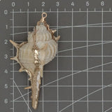 10 Pcs Natural Conch Spiral Shell 31x63mm Plated Pendant DIY
