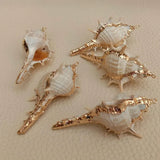 10 Pcs Natural Conch Spiral Shell 31x63mm Plated Pendant DIY