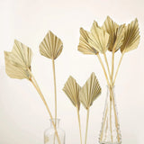 10 Pcs Boho Dried Palm Spears Natural Dried Palm Fans