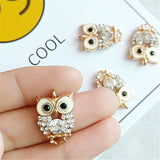 10 Pcs Rhinestone Owl Charms Pendants for DIY Jewelry Making