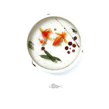 10 Sheets Fish UV Resin Stickers for DIY Micro Landscape