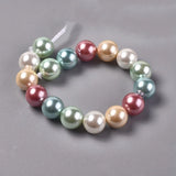 10 Strand Shell Beads 10mm Mixed for Jewelry Making