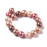 10 Strand Shell Beads 10mm Mixed for Jewelry Making