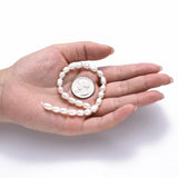 10 Strand Natural Pearl Beads 6.5~7.5mm