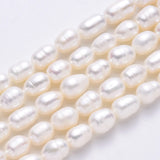 10 Strand Natural Pearl Beads 6.5~7.5mm