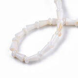 Natural Freshwater Shell Mushroom Beads 10 Strands for Jewelry Making