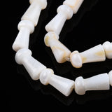 Natural Freshwater Shell Mushroom Beads 10 Strands for Jewelry Making