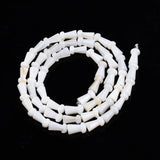 Natural Freshwater Shell Mushroom Beads 10 Strands for Jewelry Making