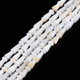 Natural Freshwater Shell Mushroom Beads 10 Strands for Jewelry Making
