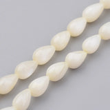 10 Strands Shell Dyed Bead Teardrop Shape Multiple Colors 7x5mm