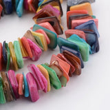 10 Strands Shell Bead Dyed Rectangle Beads for Jewelry Making