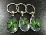 Charming Four Leaf Clover Lucid Drop Back Keychain