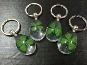 Charming Four Leaf Clover Lucid Drop Back Keychain