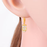 925 Silver Owl Cubic Zirconia Hoop Earring for Women